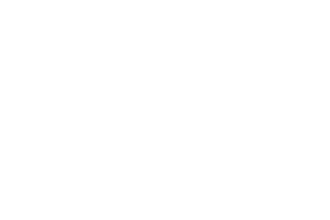 Logo_light_blue